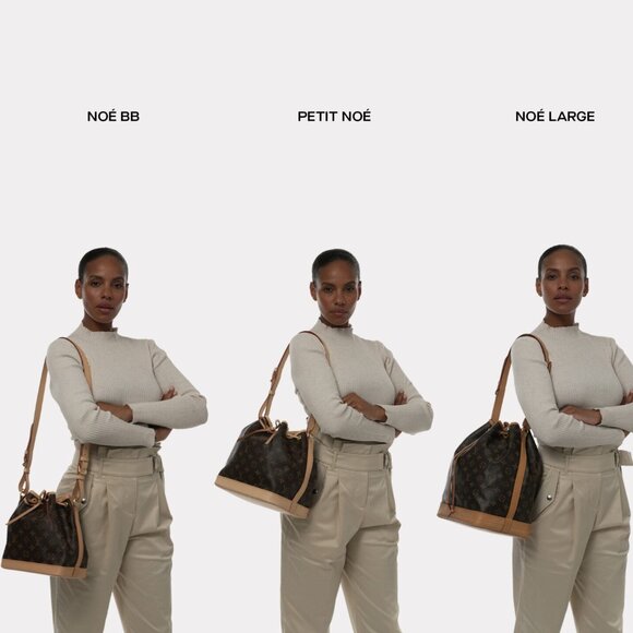 Louis Vuitton Petit Noe Epi Bucket Shoulder Bag - Picture 16 of 16